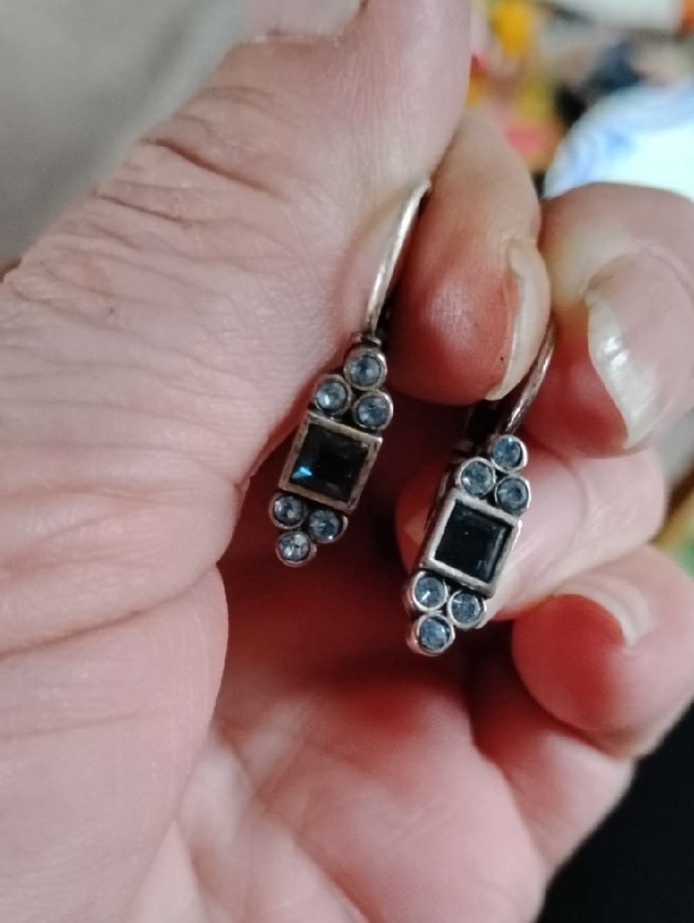 Dark And Light Blue Dangle Earrings